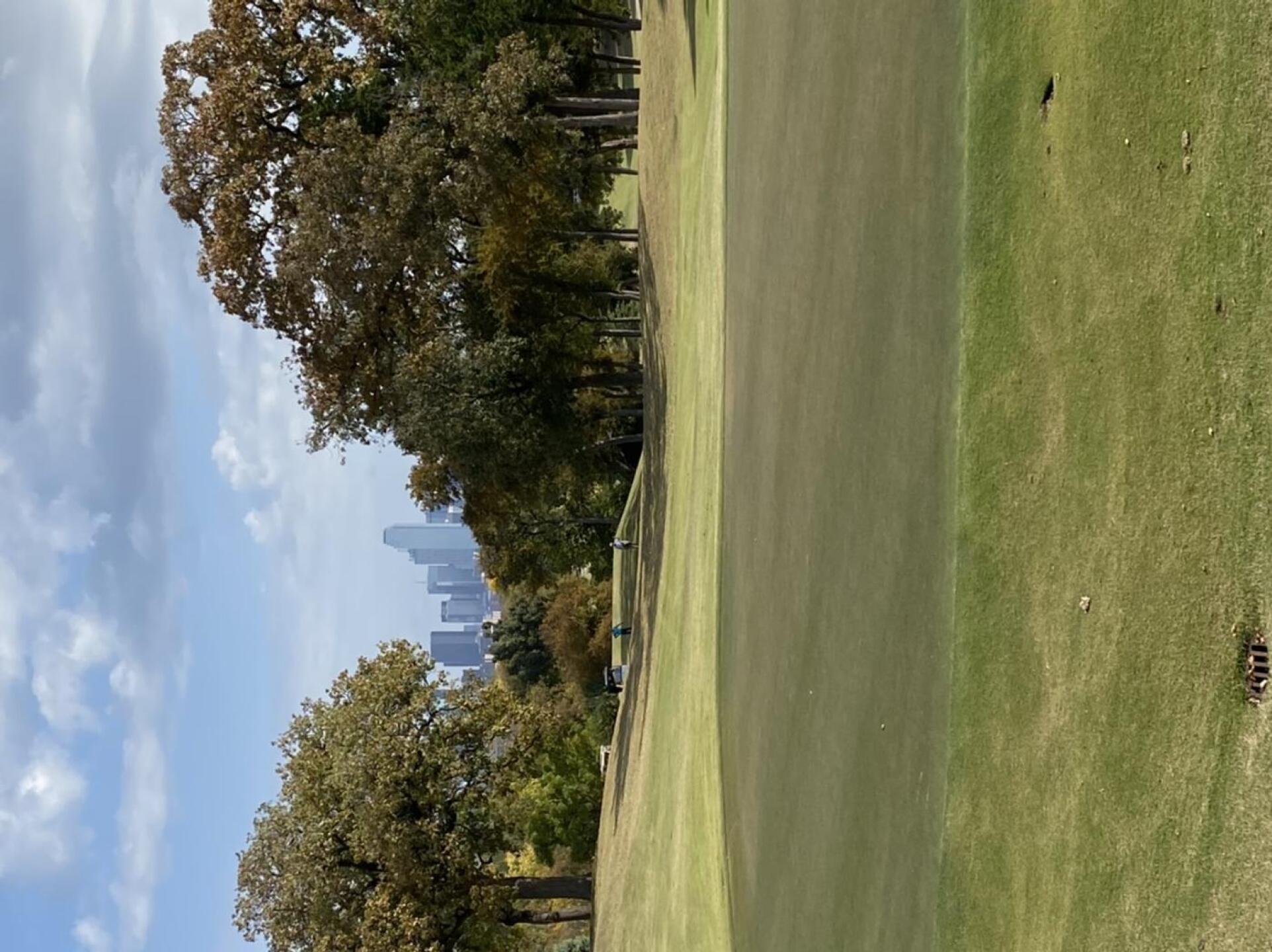 (Photo submitted by dwaz777 on 11/07/2020)